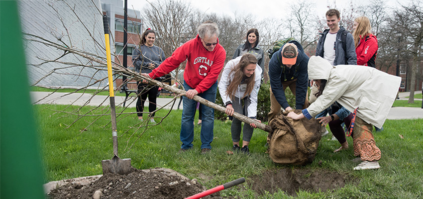 tree planting